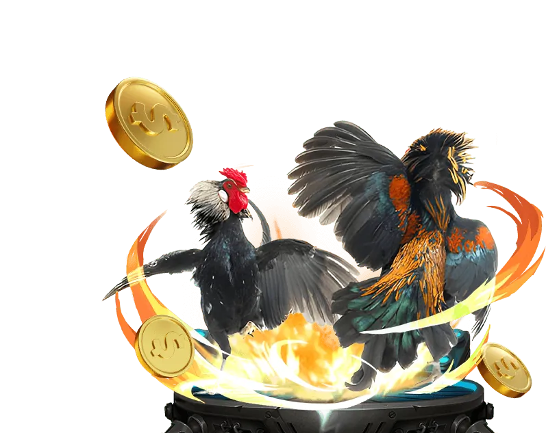 Các lợi ích khi chọn Win2026